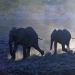 park-narodowy-ttosha-007-wikipedia-799px-Loxodonta_africana_(Rush_for_the_water) Park Narodowy Etosha