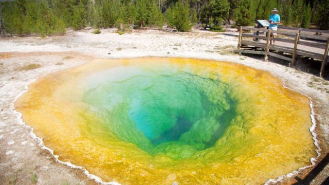 park-narodowy-yellowstone-010-wikipedia-800px-Morning_Glory_Pool_Yellowstone_National_Park