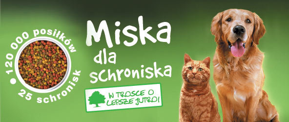 Pełna miska dla schroniska