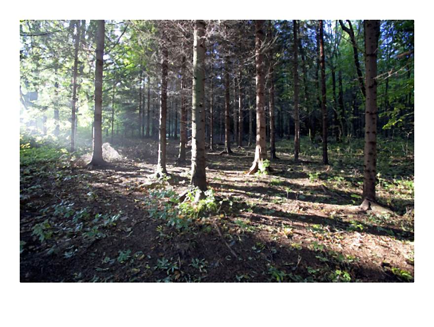 Malinowy_Dw_r (6)-006-2014-05-08 _ 19_47_24-70