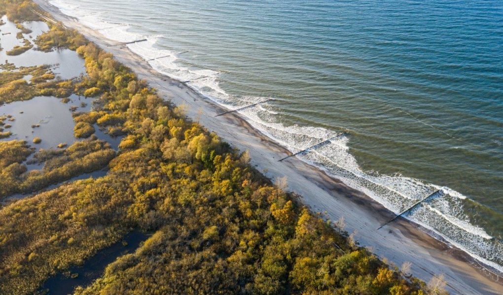 Morze Bałtyckie program Naturalnie Bałtyckie – fot.Wojciech Radwan (1) 22 marca – Światowy Dzień Ochrony Morza Bałtyckiego i Światowy Dzień Wody