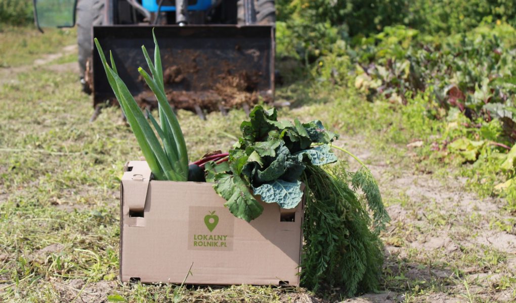 Lokalny-Rolnik1 Z pola prosto pod drzwi – za co lubimy wirtualne targowiska?