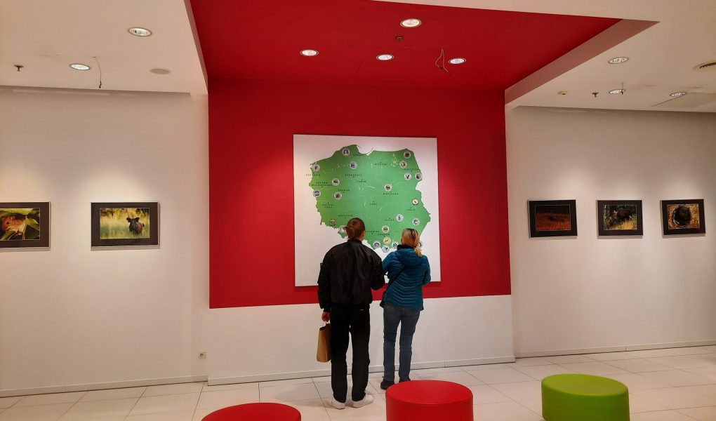 Współpraca Galerii Łomianki z Kampinoskim Parkiem Narodowym_2 Sąsiedztwo zobowiązuje – wyjątkowa współpraca Galerii Łomianki z Kampinoskim Parkiem Narodowym